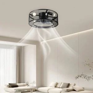 40W Ceiling Light with18 Inch Fan